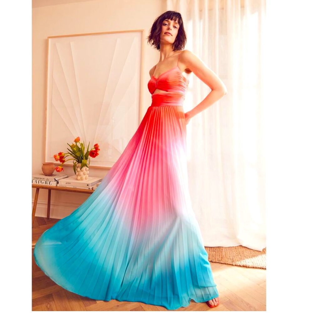 Amur Emmett Pleated Ombré Gown size 6